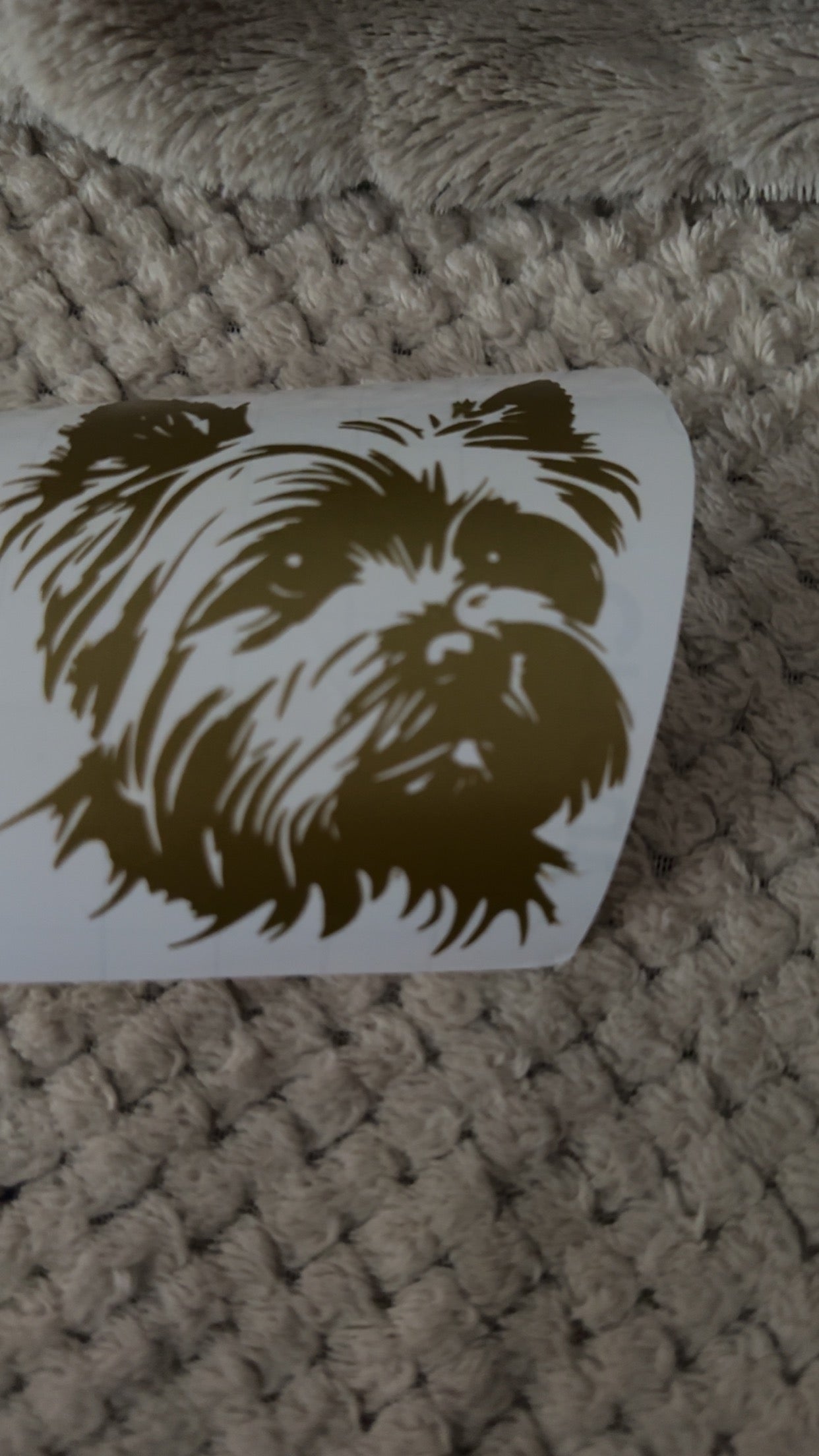 Yorkie